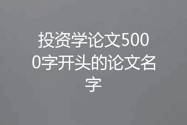 投资学论文5000字开头的论文名字