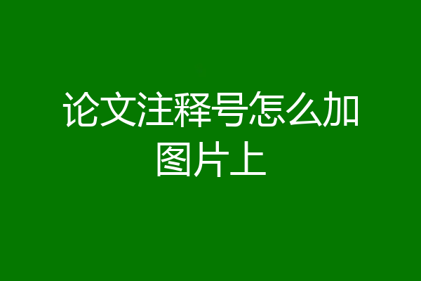 论文注释号怎么加图片上