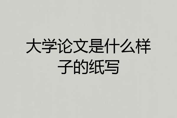 大学论文是什么样子的纸写
