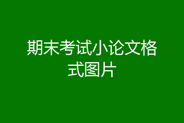 期末考试小论文格式图片
