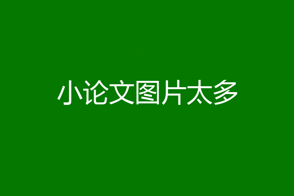 小论文图片太多