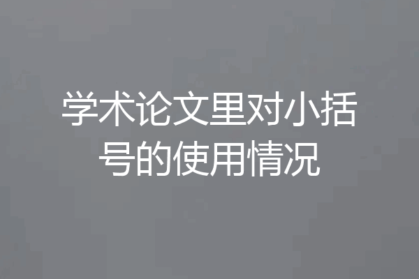 学术论文里对小括号的使用情况