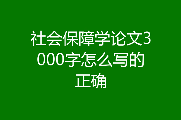 社会保障学论文3000字怎么写的正确
