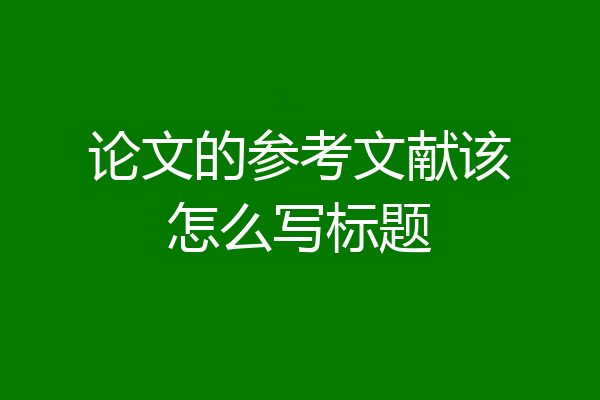 论文的参考文献该怎么写标题