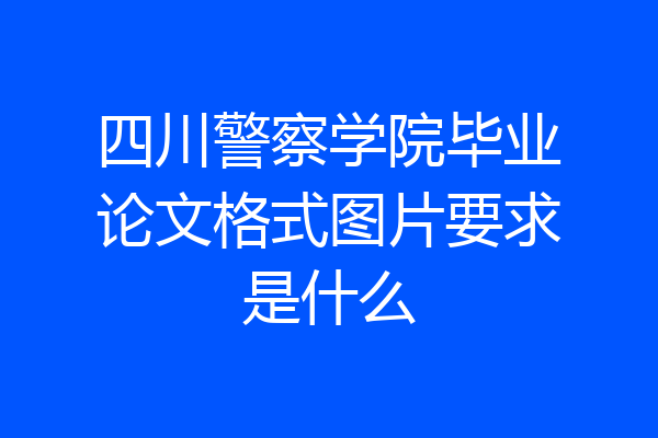 四川警察学院毕业论文格式图片要求是什么
