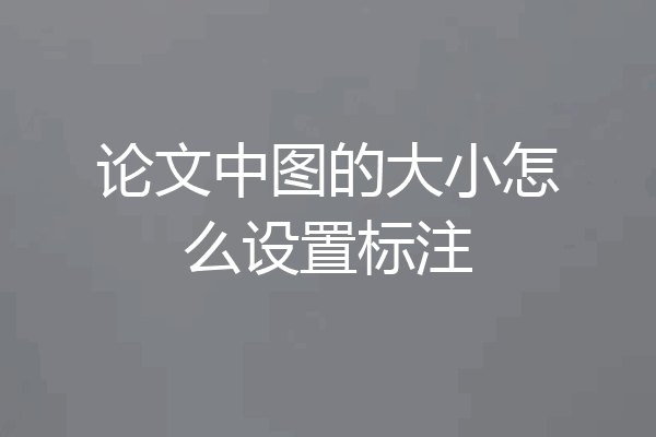 论文中图的大小怎么设置标注