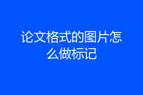 论文格式的图片怎么做标记
