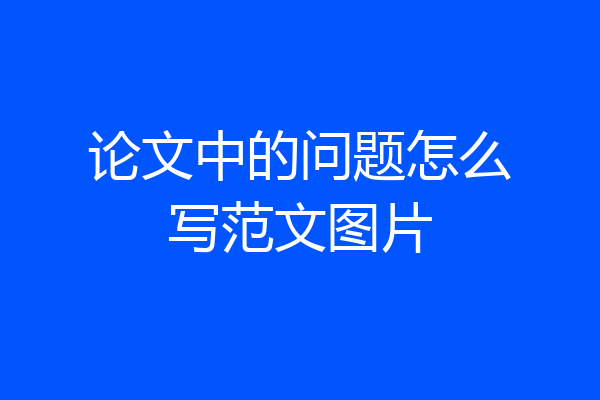 论文中的问题怎么写范文图片