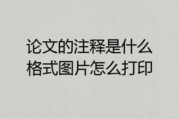 论文的注释是什么格式图片怎么打印