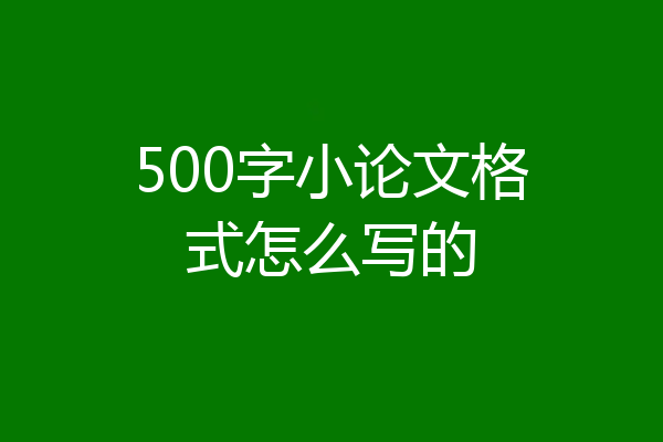 500字小论文格式怎么写的