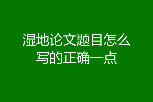 湿地论文题目怎么写的正确一点