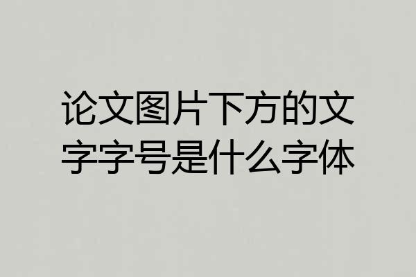 论文图片下方的文字字号是什么字体
