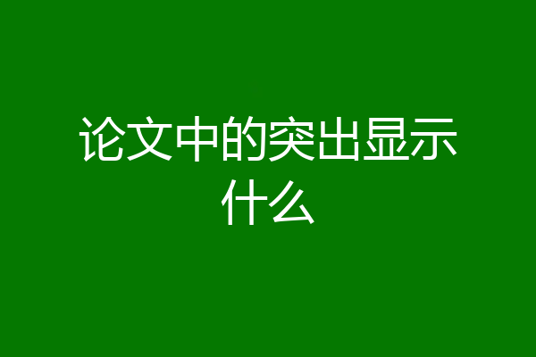 论文中的突出显示什么