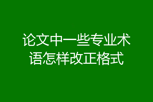 论文中一些专业术语怎样改正格式