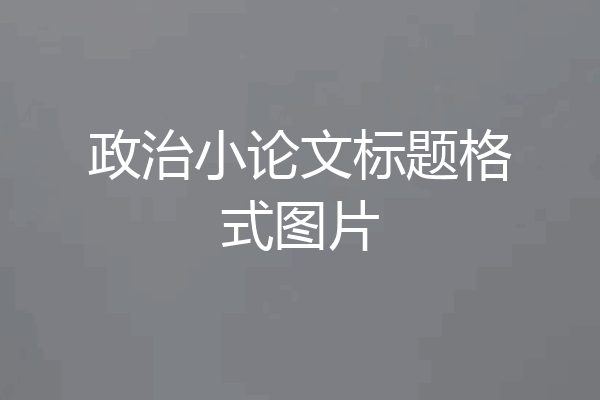 政治小论文标题格式图片