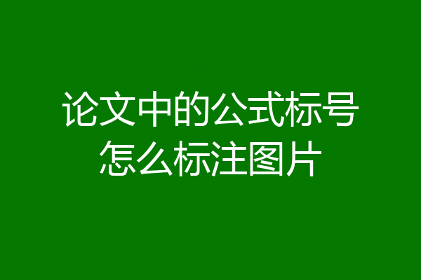 论文中的公式标号怎么标注图片