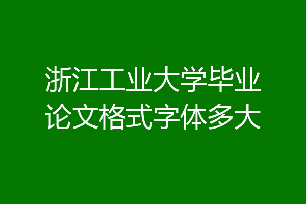 浙江工业大学毕业论文格式字体多大