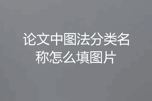 论文中图法分类名称怎么填图片