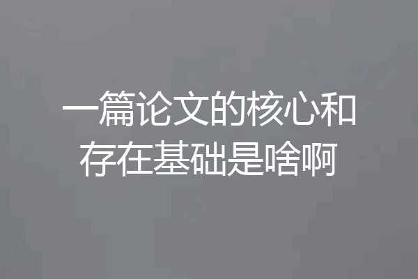 一篇论文的核心和存在基础是啥啊