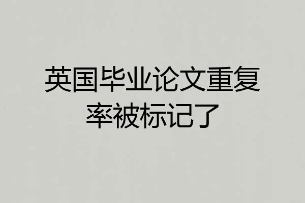 英国毕业论文重复率被标记了