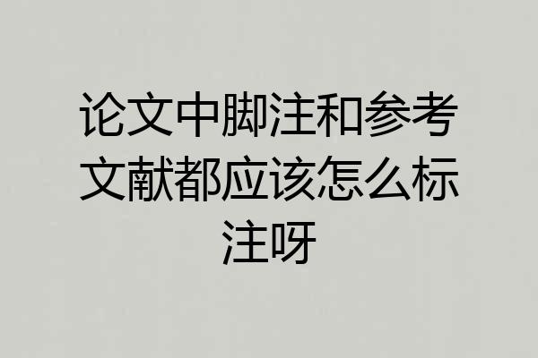论文中脚注和参考文献都应该怎么标注呀