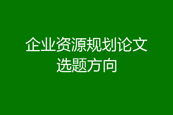 企业资源规划论文选题方向