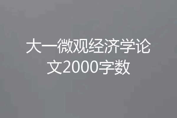 大一微观经济学论文2000字数