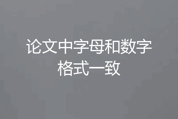 论文中字母和数字格式一致