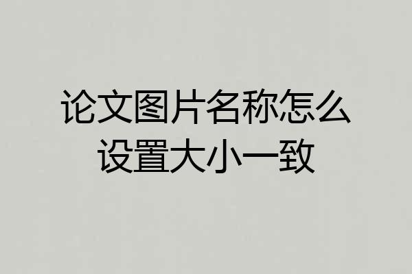 论文图片名称怎么设置大小一致