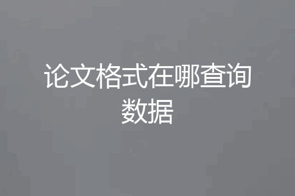 论文格式在哪查询数据