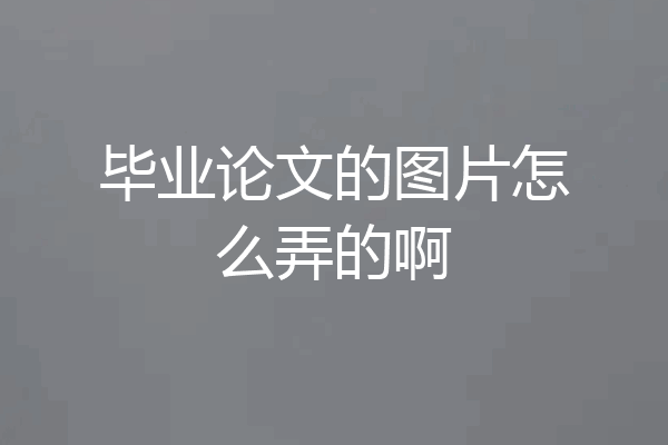 毕业论文的图片怎么弄的啊