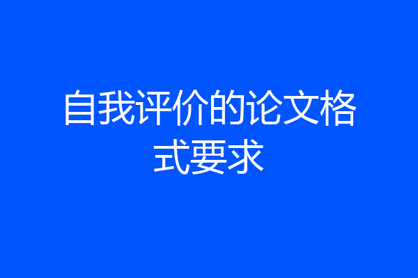 自我评价的论文格式要求