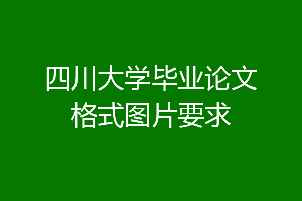 四川大学毕业论文格式图片要求