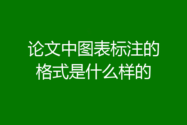论文中图表标注的格式是什么样的