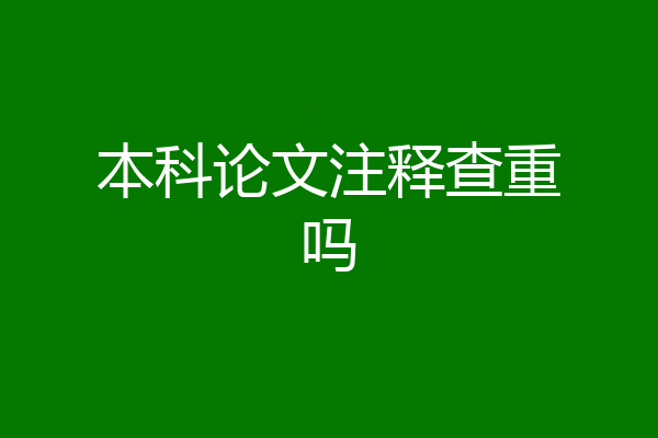 本科论文注释查重吗