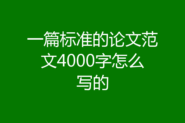 一篇标准的论文范文4000字怎么写的