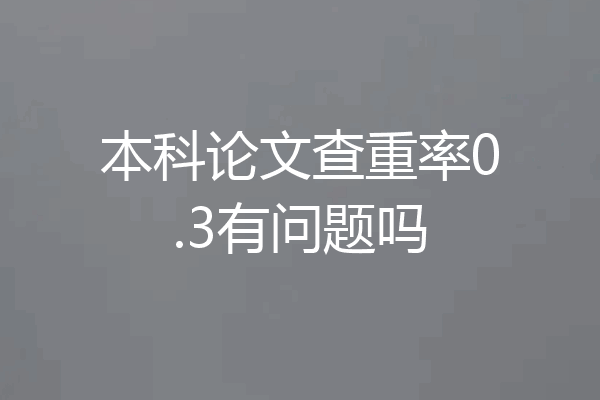 本科论文查重率0.3有问题吗