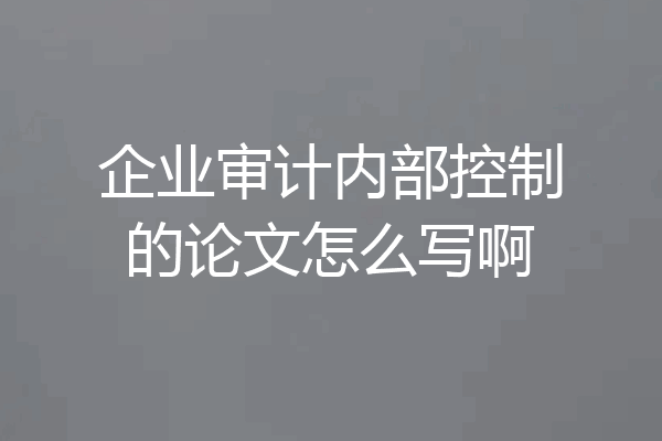 企业审计内部控制的论文怎么写啊