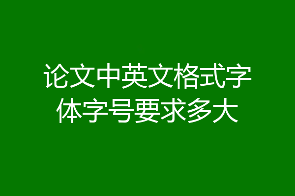 论文中英文格式字体字号要求多大