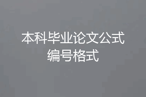 本科毕业论文公式编号格式