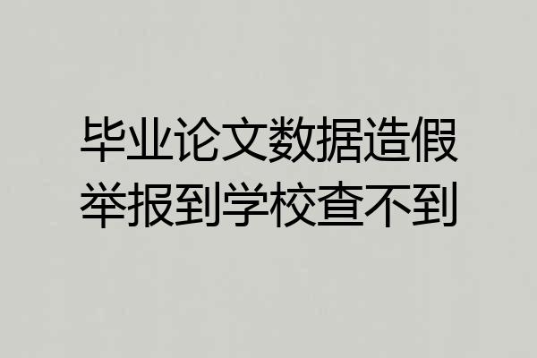 毕业论文数据造假举报到学校查不到