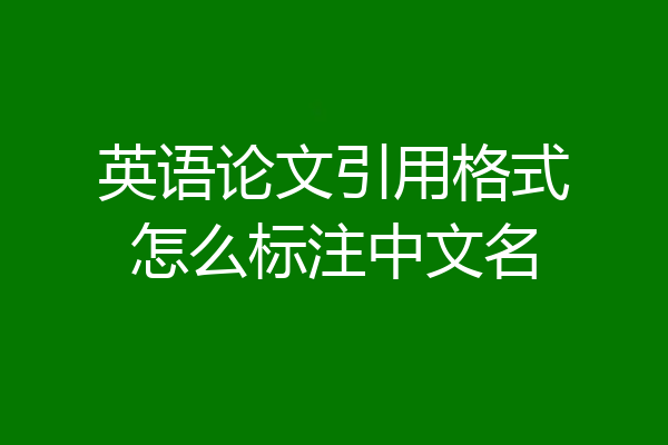 英语论文引用格式怎么标注中文名