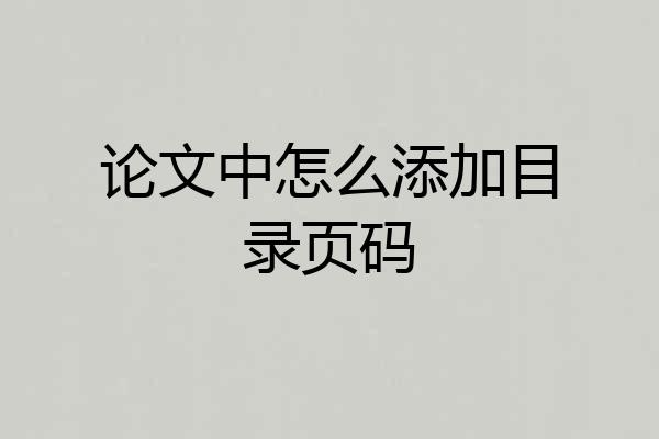 论文中怎么添加目录页码