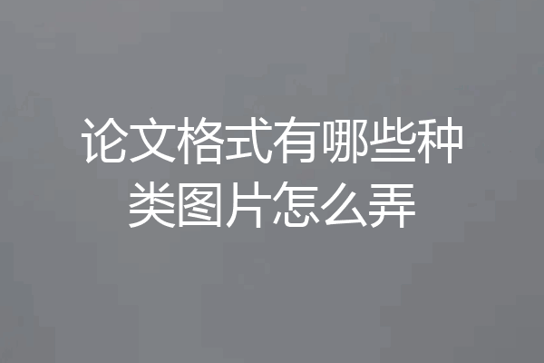 论文格式有哪些种类图片怎么弄