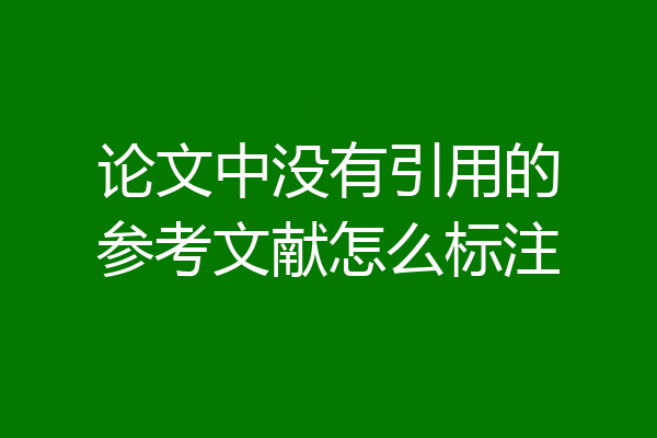 论文中没有引用的参考文献怎么标注