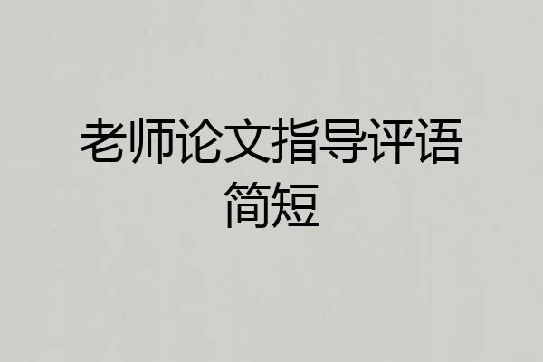 老师论文指导评语简短