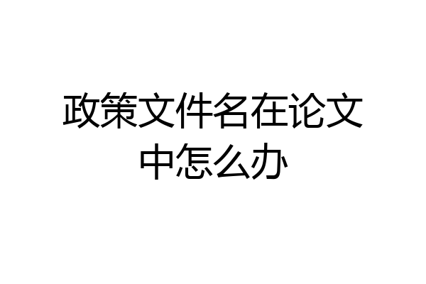 政策文件名在论文中怎么办