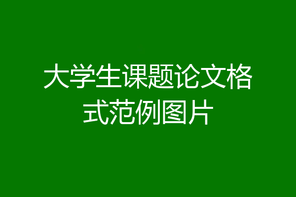 大学生课题论文格式范例图片