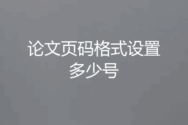 论文页码格式设置多少号