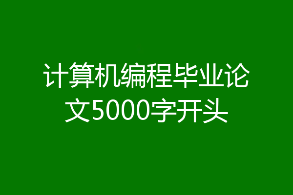 计算机编程毕业论文5000字开头